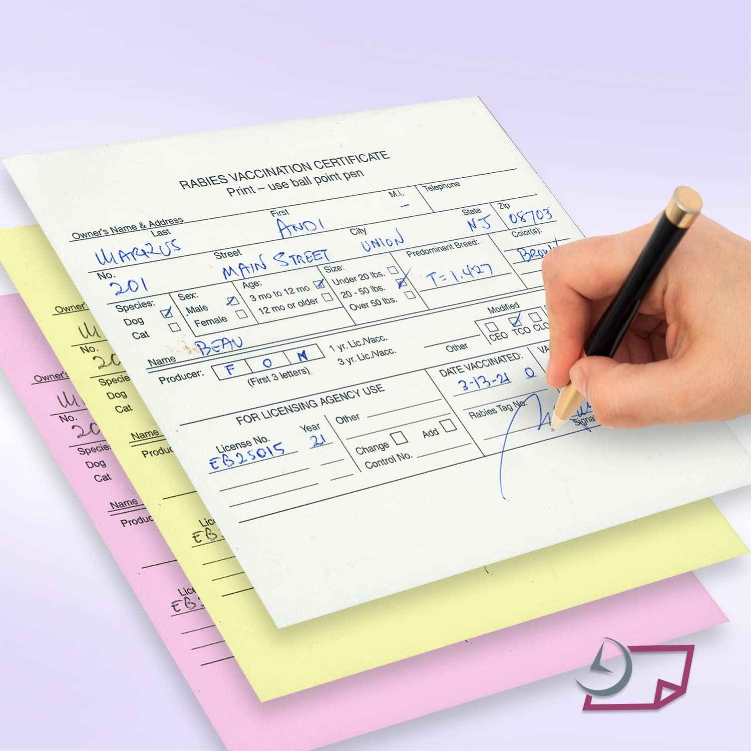 NextDayLabels - Veterinarian, 3-Part Rabies Vaccination Certificates for Cats & Dogs (100 Sets per Package)