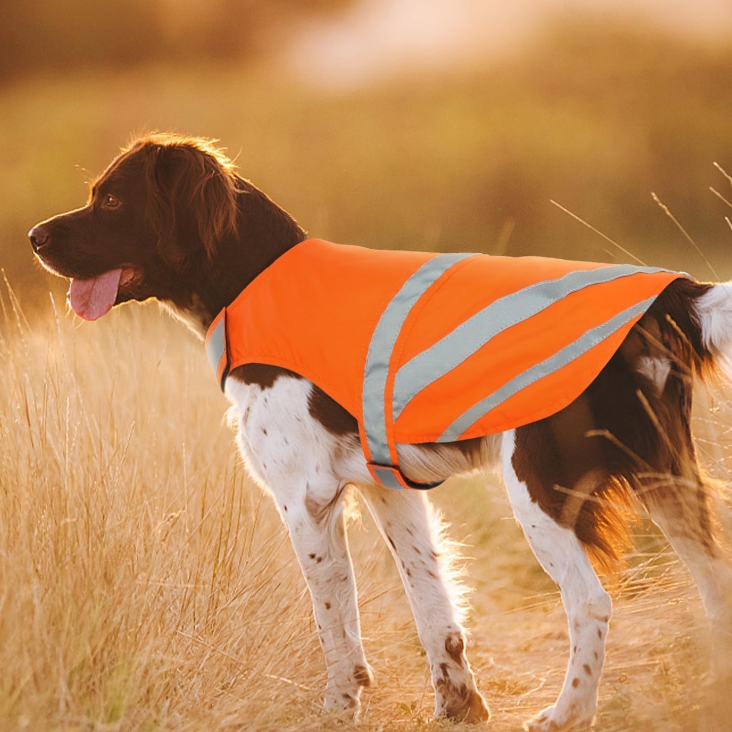 Kuoser Reflective Dog Vest, High Visibility Safety Vest for Medium to Large Dogs, Lightweight Pet Reflective Vests for Hunting Outdoor Activities Walking at Night, Blaze Orange XL