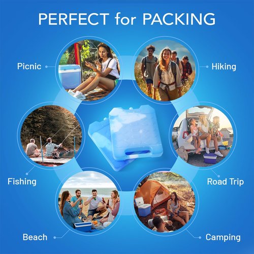 Everlasting Ice RX Large Reusable Ice Packs - BPA Free Freezer Packs for Extended Cooling | 4 Pack for Camping, Fishing, Beach