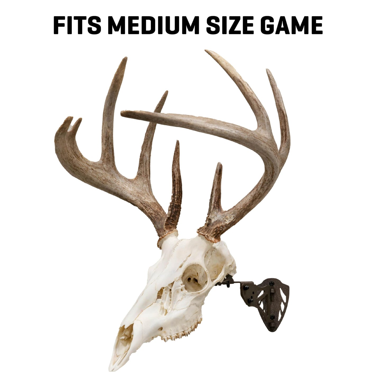 Allen Company EZ Mount Trophy Skull Hanger, Brown