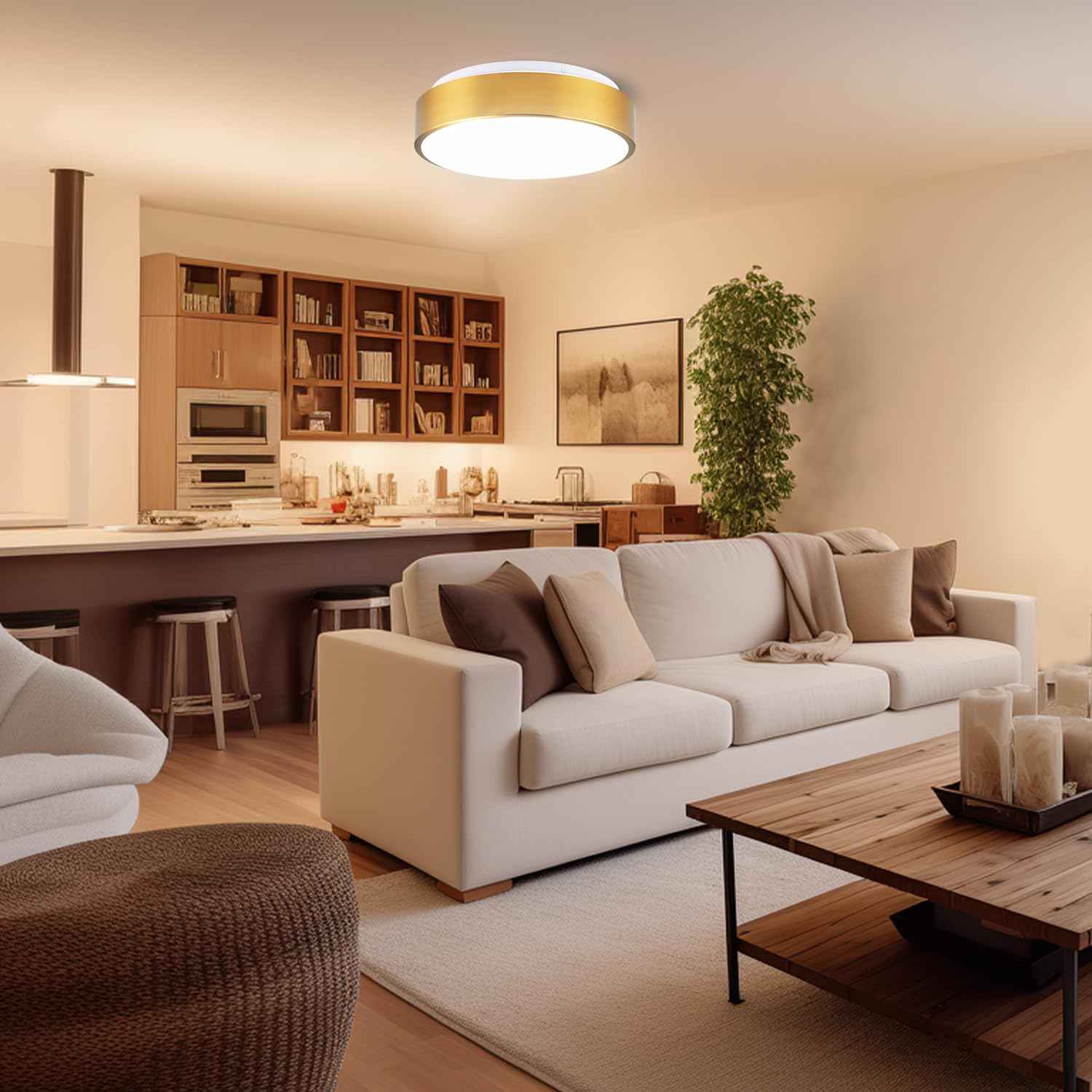 Wheatronic Gold Ceiling Light Flush Mount, LED Light Fixture 24W, Round Dimmable Flush Mount 5CCT for Bathroom, Living Room, Bedroom