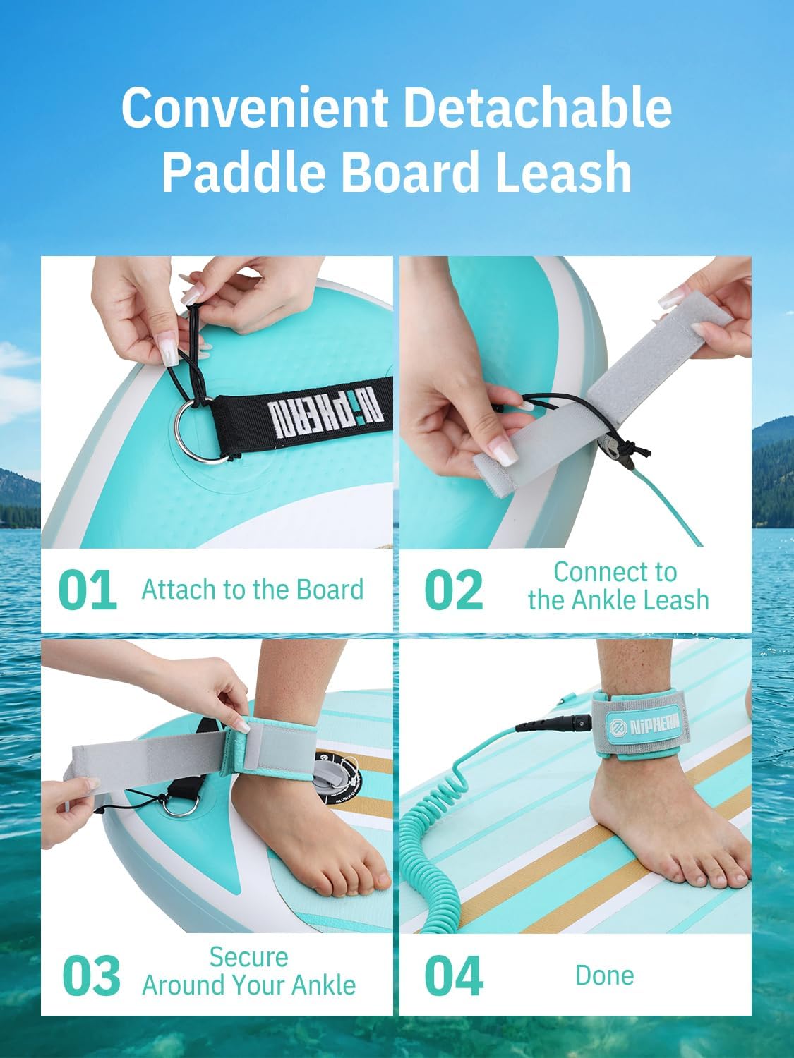 Niphean Paddle Board Leash - 3-10ft Coiled Elastic Ankle Strap | Durable, Tangle-Free & Adjustable for SUP, Surf, Bodyboard