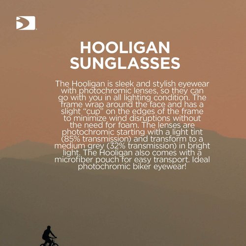 Bobster ® Hooligan, Gloss Black Frame, Clear Photochromic Lens