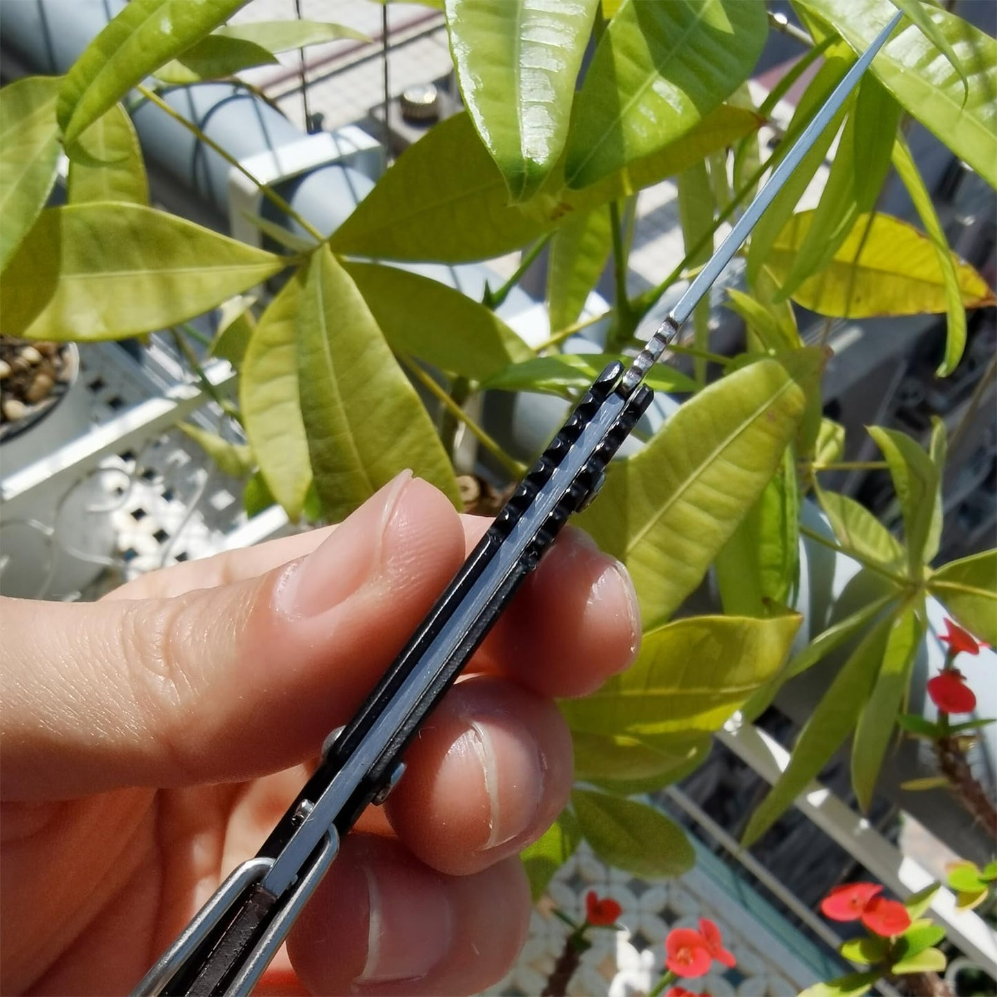 WWZJ 6 Colors Pocket Knife, Stainless Steel Folding Knife with Clip, Self-Defense Knife for Outdoor Survival, Everyday Carry and Gift