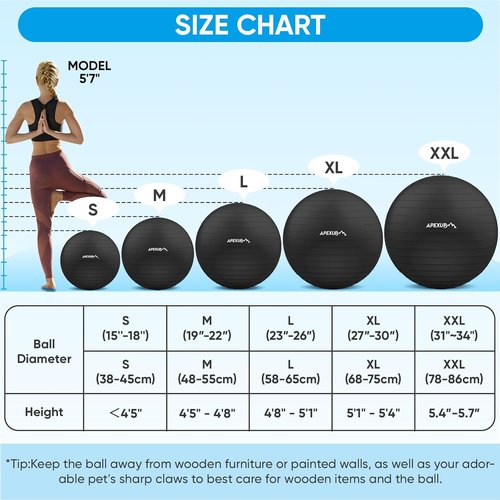 APEXUP Yoga Ball - Anti-Slip Heavy Duty Exercise Ball for Fitness & Core Workout | 5 Sizes Available