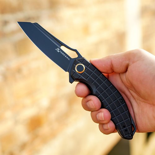 FORESAIL Folding Pocket Knife, 3.54" DC53 Steel Blade,4.65" G10 Handle, Liner Lock, Reversible Pocket Clip for Everyday Carry, Outdoor Activities. (Black PVD blade)