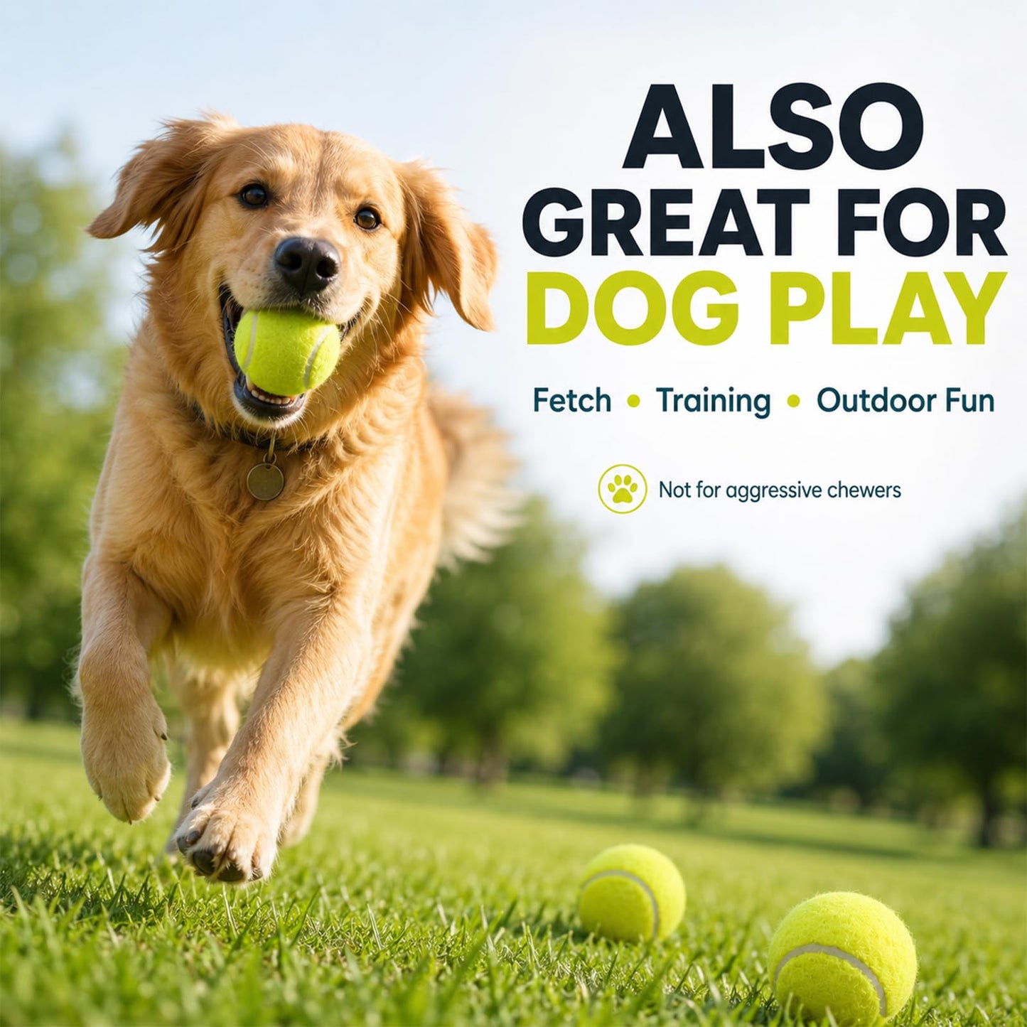 INSUM Bulk Tennis Balls for Beginner – 12 Pack High Elasticity Practice Tennis Balls with Mesh Bag, Suit for Pet Dog Training, Fetching (Yellow)