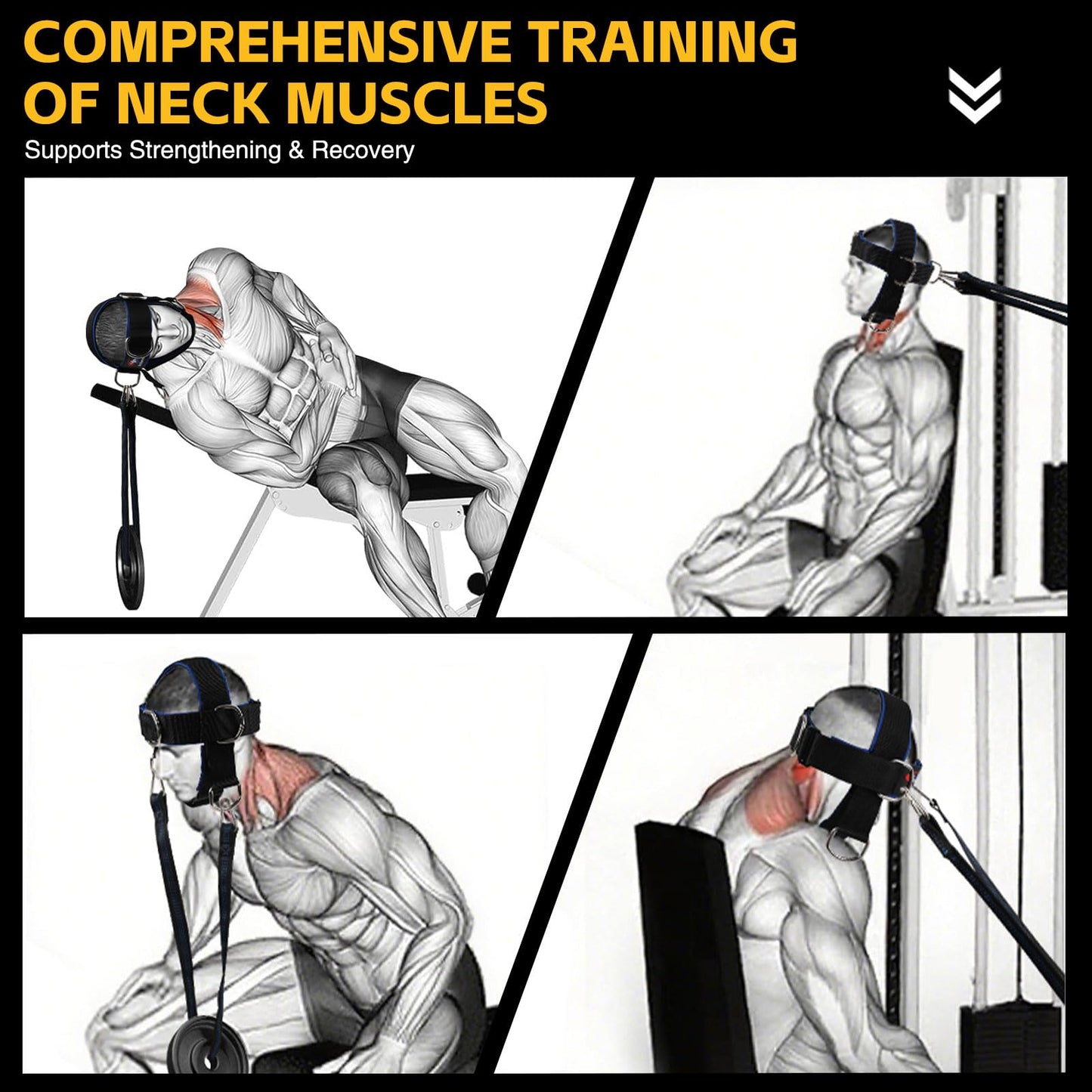 Fitness Neck Head Harness Trainer, Adjustable Chin Strap and Head Harness Strength with Nylon Tether, Neoprene Neck Exerciser for Weight Lifting, Home and Gym Use, Black