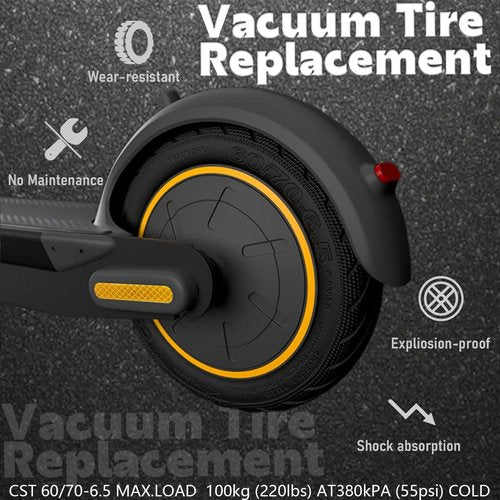 Felixstory 10 Inch Tire, 10x2.5 60/70-6.5 Vacuum Outer Tire for Segway Ninebot Max G30P G30LP/ F2 Electric Scooter, Original Tubeless Tyre, Built-in Self-repair Glue, fit for VOLPAM SP01, Hiboy S2 MAX