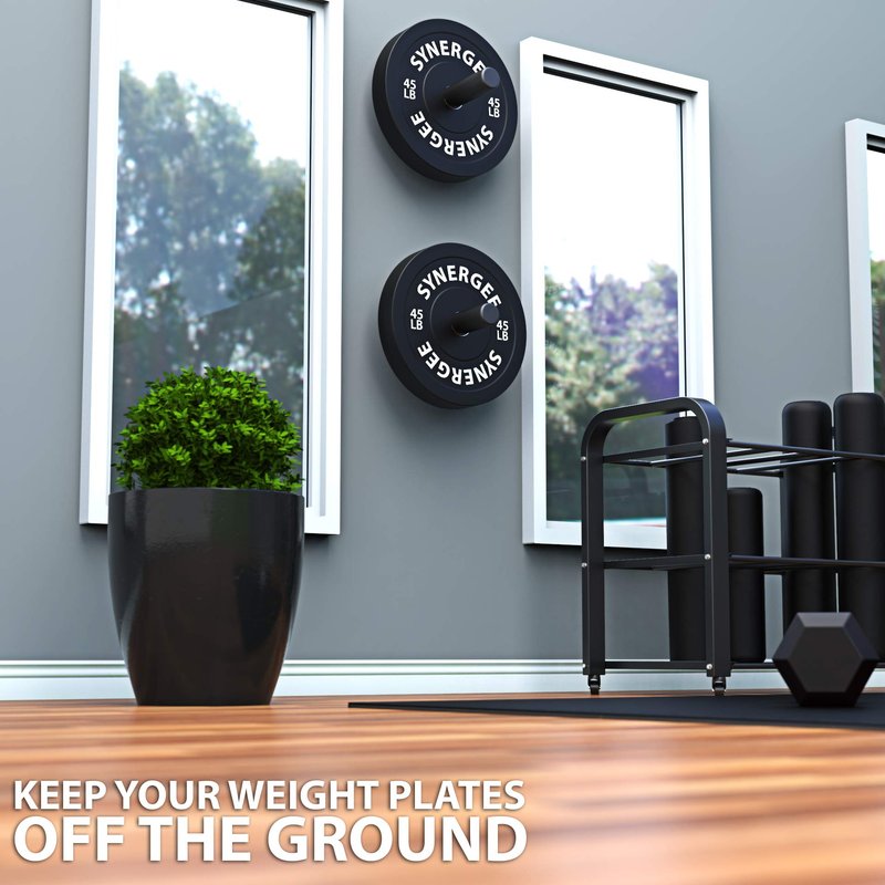 Synergee Weight Plate Storage Pegs. Wall Mounted Storage, 2" Opening Weight Holder. 275lb Capacity Gym Storage Rack. Double Peg.