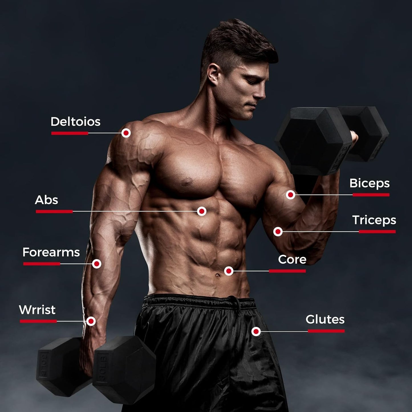 RitFit Rubber Coated Hex Dumbbell Set - 5-780LB Home Gym Strength Training | Anti-Slip Handle & Heavy-Duty Rack