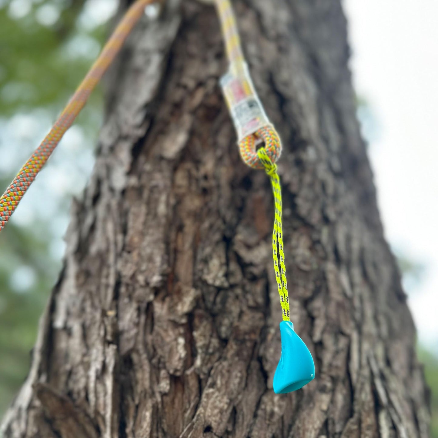Notch Pebble Retrieval System Used by Arborists to Retrieve Climbing Systems & Friction Savers from Trees, for use with Friction Rings up to 28mm Diameter, High-viz Cordage Loop - Pair (99562)