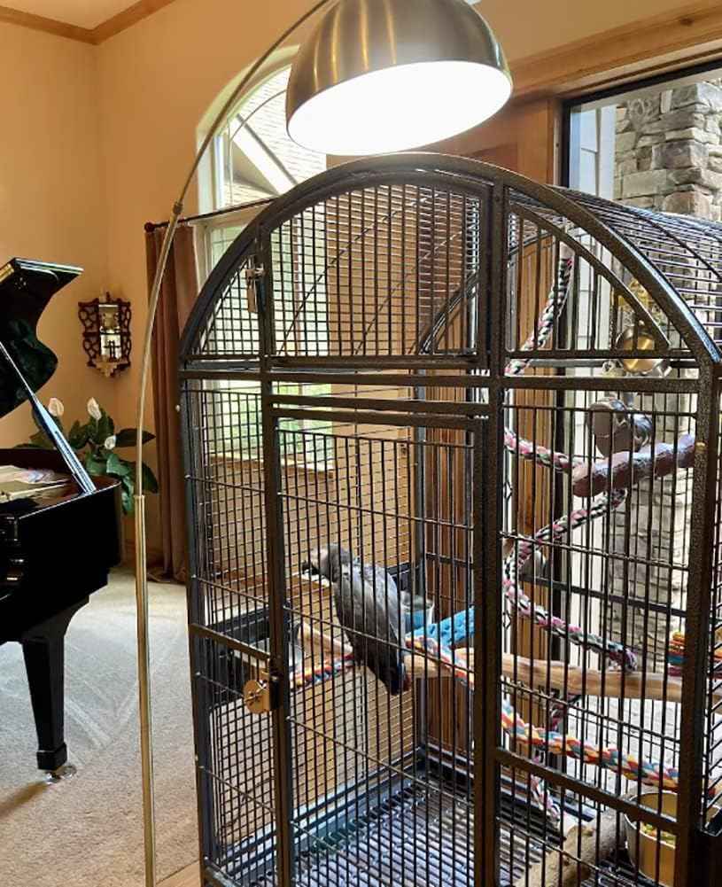 Full Spectrum Light Bulb, 5000K Natural Sunlight Bulb for Home, Dimmable LED Light Bulbs, 11W Equivalent 100W, A19 E26, Boosts Mood & Energy, 3 Pack