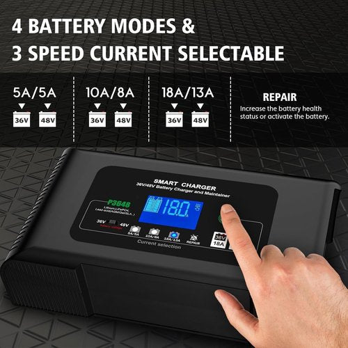 48v Golf cart Battery Charger (Crown Foot kit)