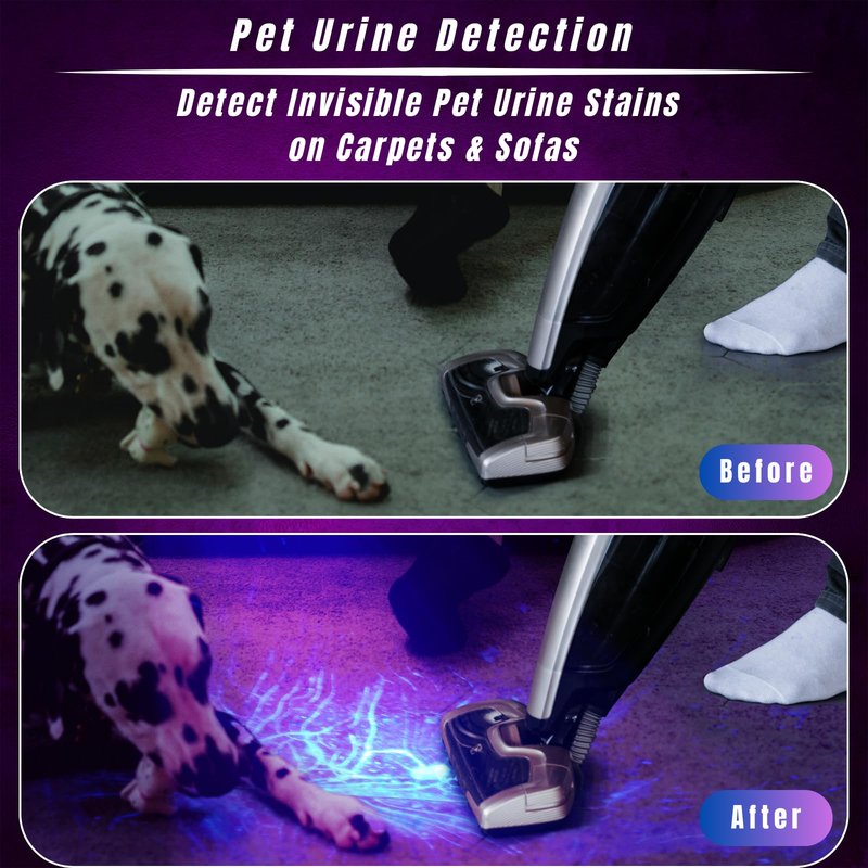 FandyFire UV Flashlight 395nm - Mini LED Black Light Ultraviolet Light Adjustable Flashlights, for Pet Urine Detection, Resin Curing, Searching Scorpion