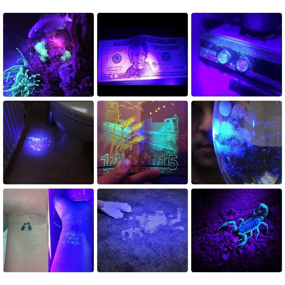 ALONEFIRE SV65 5W 365nm UV Flashlight USB Rechargeable Ultraviolet Mini UV Light ID Checking Black Light for Pet Urine Detector, Resin Curing, Scorpion, Bed Bug, Leak, Minerals with Built-in Battery