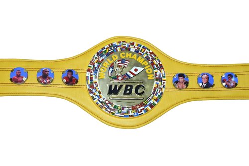 Generic WBC Championship Boxing Belt 3D Replica Adult Titles (Yellow)