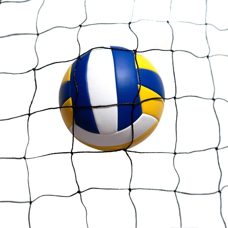 Sanung Volleyball Net with Steel Wire for Indoor and Outdoor Gardens Campus Backyard Swimming Pool Park Beach Portable Game Standard Size (32 FT x 3FT) Poles Not Included