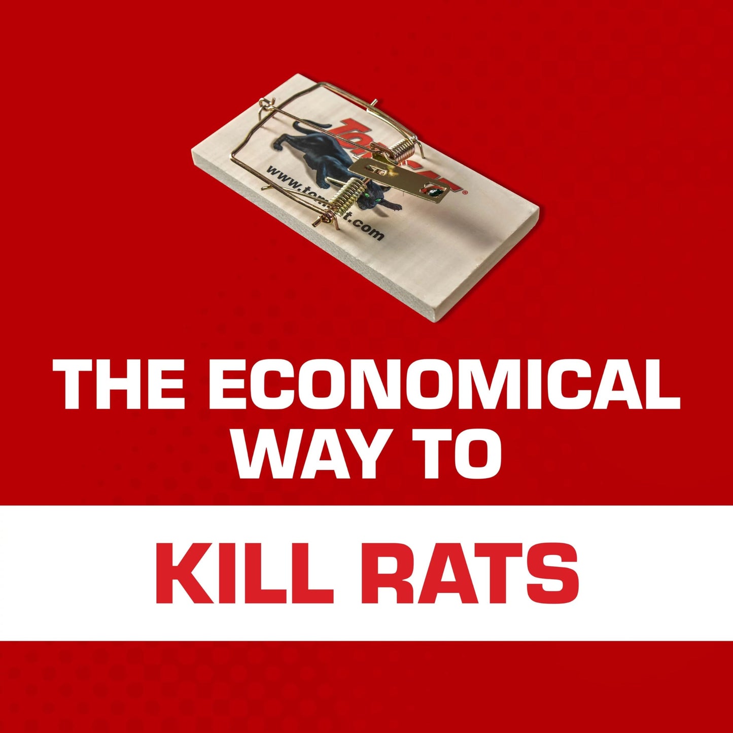 Tomcat Wooden Rat Traps - Disposable Non-Chemical Rat Trap for Homes, Garages and Basements, Single Pack
