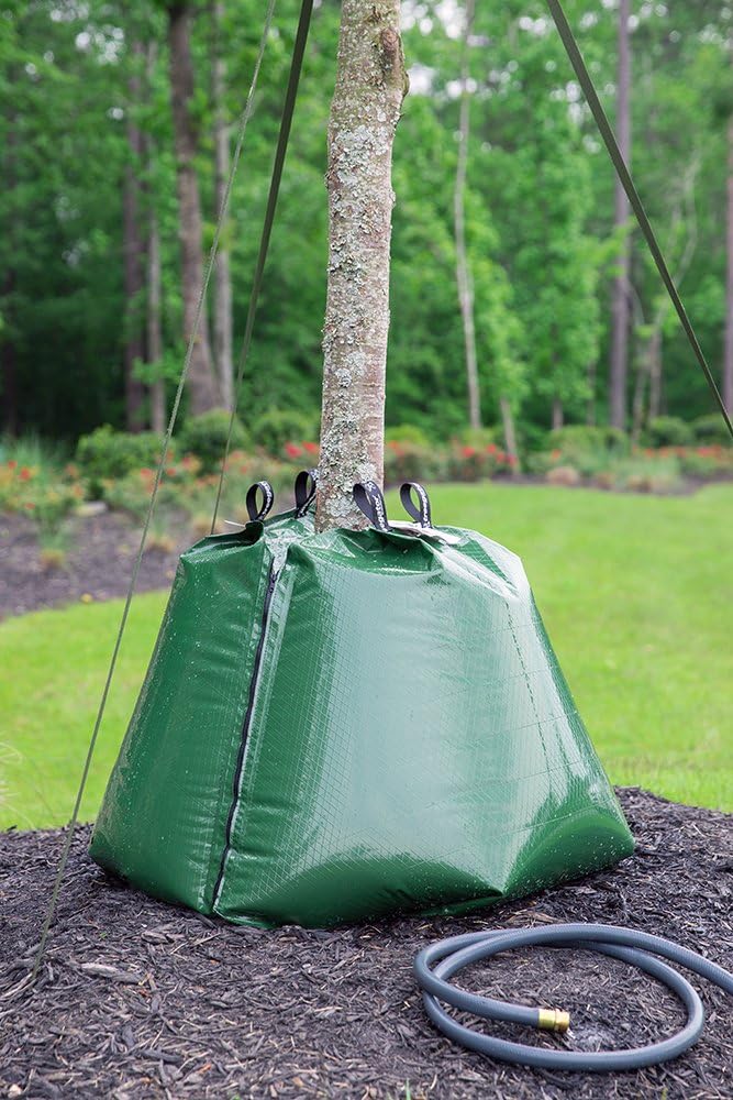 Treegator Original Watering Bag - Slow Release Irrigation for New & Established Trees | Fits 1-8 Inch Trunks - Green