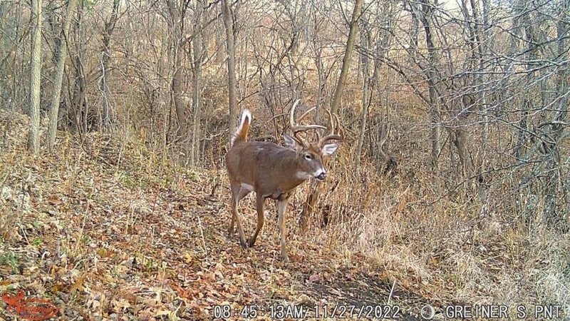 Wildgame Innovations Scrapeline 18MP Trail Camera with Batteries and SD Card