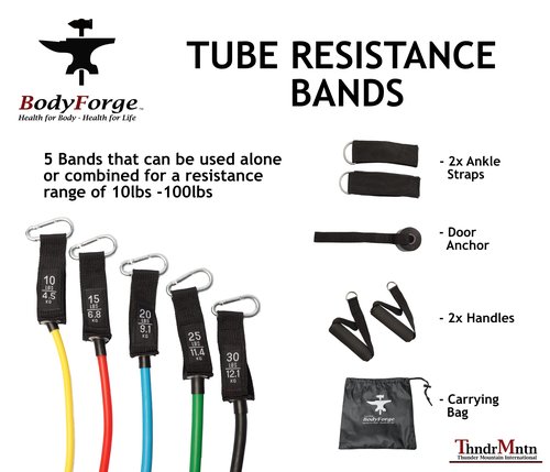BodyForge Resistance Bands, Exercise Bands，Resistance Bands for Working Out, Work Out Bands with Handles for Men and Women Fitness, Strength Training Home Gym Equipment $averPak (1 Pack)