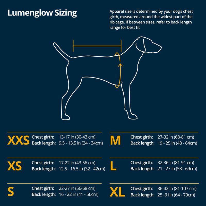 Ruffwear, Lumenglow High-Vis Dog Vest, Reflective Jacket with Water-Repellent Shell, Harness-Compatible Leash Portal, Side-Release Buckles, Back Light Attachment Loop, Blaze Orange, X-Small