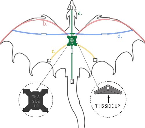 JEKOSEN Fiery Dragon Kite - 54" Easy to Fly Design with 160" Tail for Family Outdoor Fun