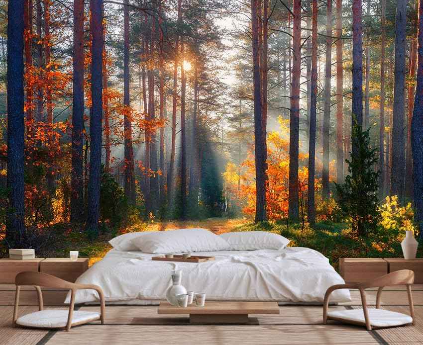 Wmjurel Autumn Sunshine in The Woods Wallpaper, Natural Landscape Mural, Modern Living Room Bedroom Backdrop Wall Mural(Non-self-Adhesive)