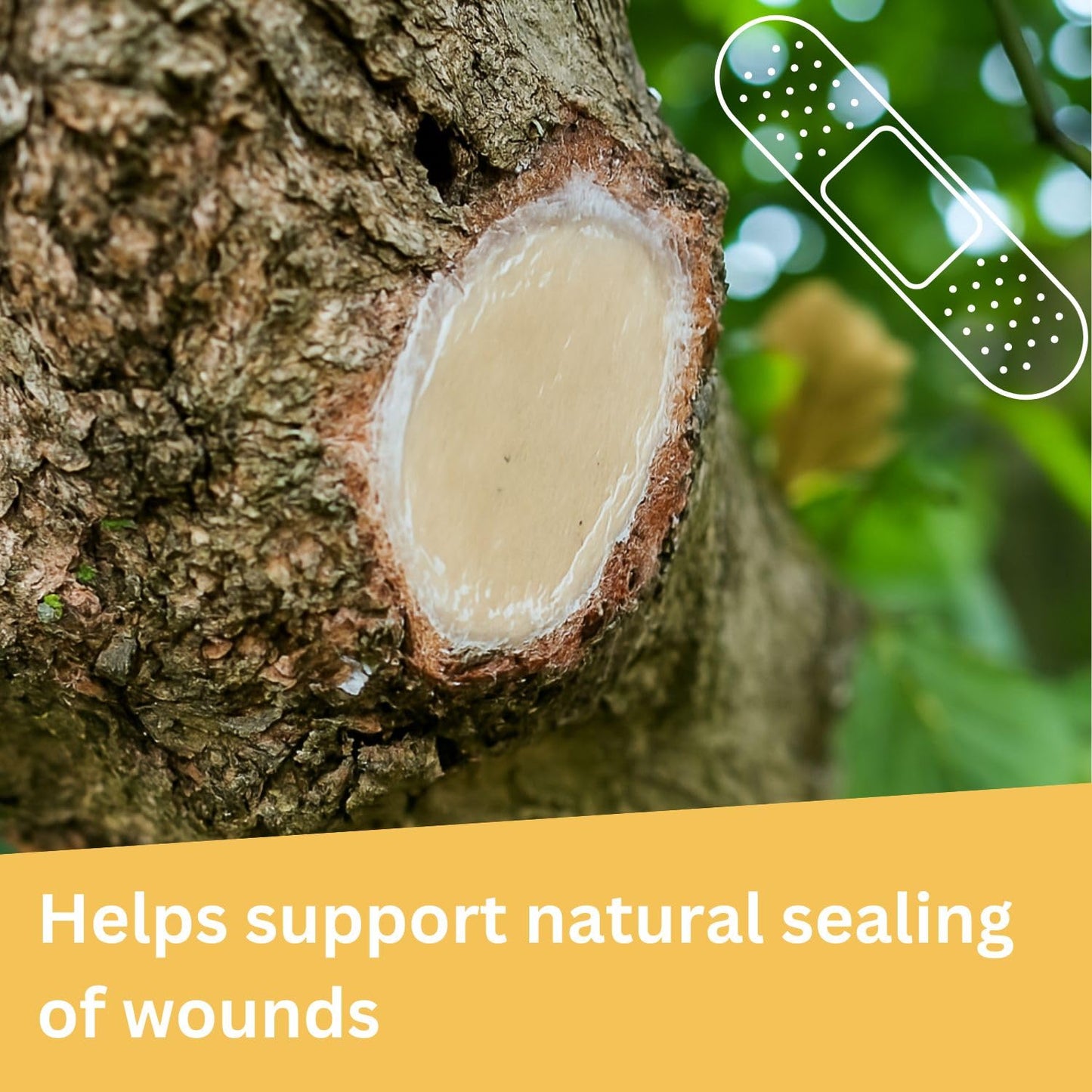 Briliantwerk 28 oz Transparent Tree Pruning Sealer - Tree Wound Sealer - Protective Coating for Pruning Cuts & Grafting Ideal for Tree Bark & Branch Care