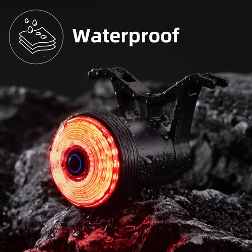 ROCKBROS Bike Tail Light Smart Brake Sensing Rear Bike Light,Auto On/Off, Waterproof,Type C USB Rechargeable，Black