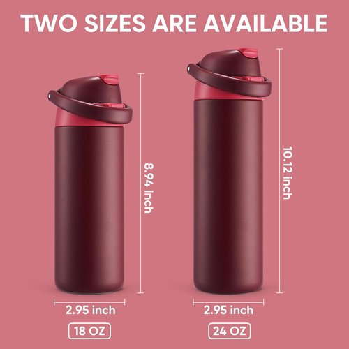 Fijinhom Insulated Water Bottle - 18 oz Stainless Steel with 2-in-1 Straw & Push-Button Lid | Red, BPA-Free