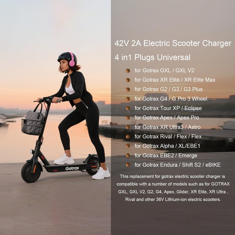 FROMCQC42V 2A Power Adapter with 4-in-1 Conversion Cable, 48W Universal Charger