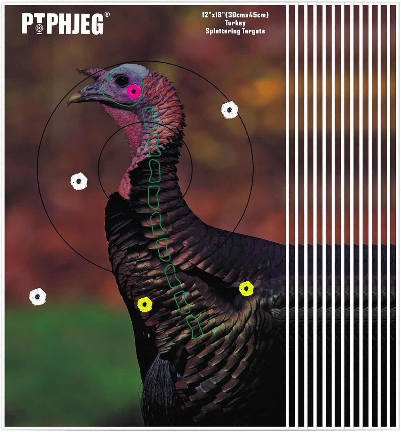 Small Game Animal Targets by Photo-Realistic | Reflective Turkey Targets - 12"x18" - Instant Splatter for All Guns