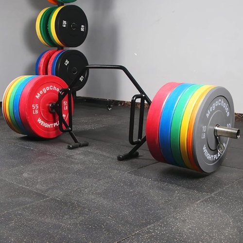 Color Bumper Plates,Bumper Weight Plate Set 2Inch,55 LB 1 PCS Barbell Weight Plates for Home Gym,Strength Training Plate for Weight Lifting