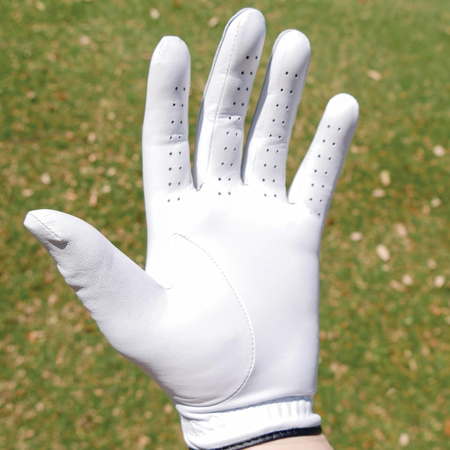 MG DynaGrip Elite Men's Golf Glove - Premium Cabretta Leather, Lightweight Design & Elastic Knuckle Hinge - Regular Sizes