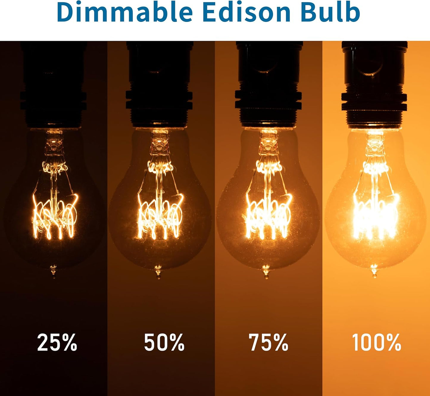 60W Vintage Edison Light Bulbs - A19/A60 Soft Amber Dimmable Bulbs, 12 Pack