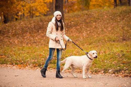 HotHands Toe Warmers - Long-Lasting Heat for Cold Feet | Ideal for Outdoor Activities