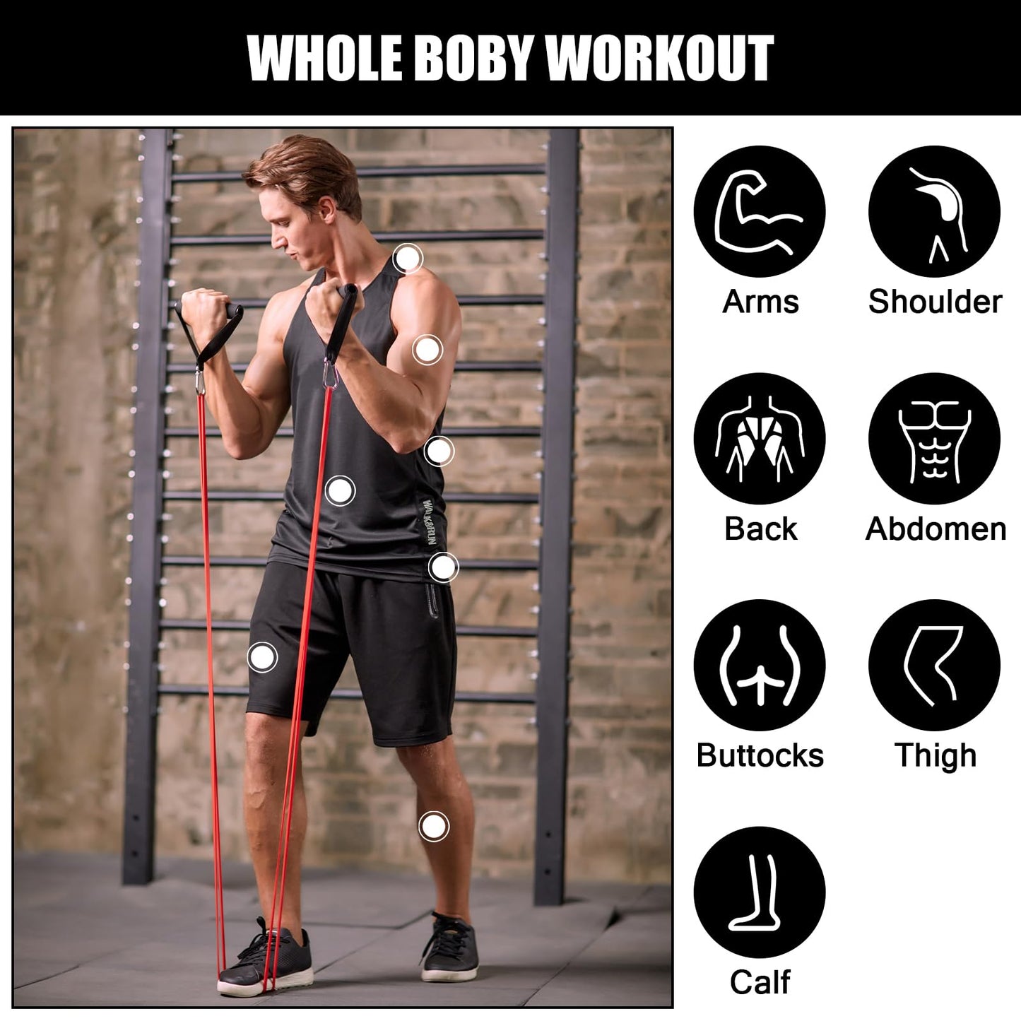 5 Packs Pull Up Assist Bands, Odoland Pull Up Straps, Resistance Bands with Door Anchor and Handles, Stretch Mobility, Powerlifting and Extra Durable Exercise Bands with eGuide