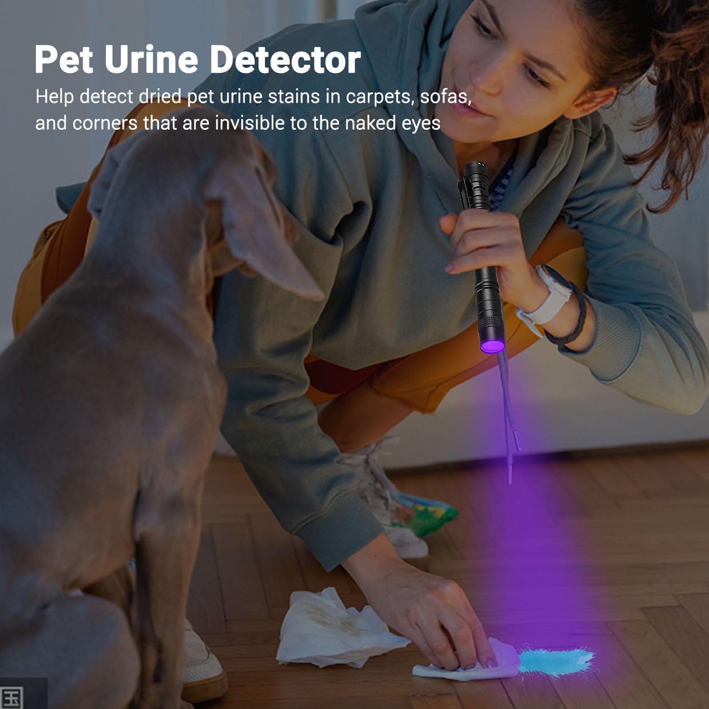 UV Black Light Flashlight Mini, 395nm Pen Light with Clip, Ultraviolet Blacklight for Pet Urine Detection, Waterproof Detector Light for Dry Stains, Bed Bug, Scorpion, Hotel Inspection-2 Pack