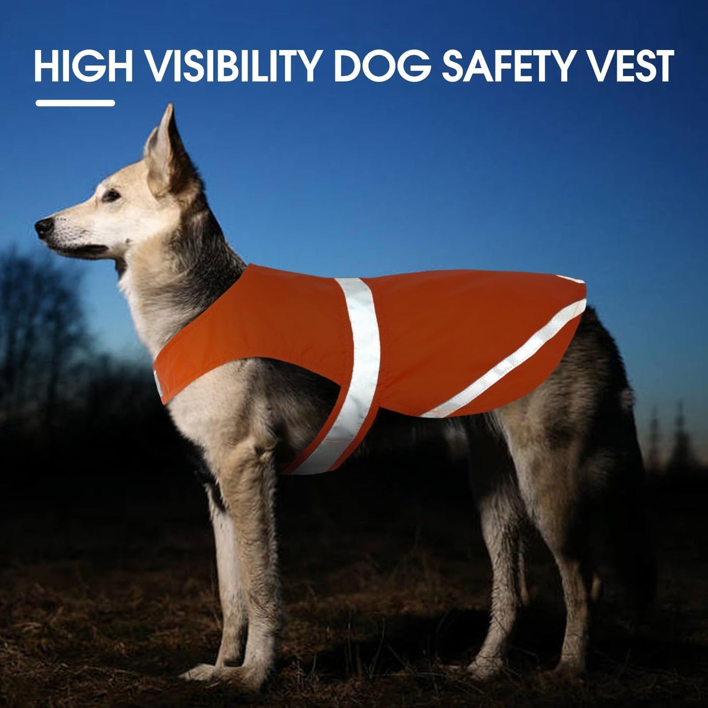 Kuoser Reflective Dog Vest, High Visibility Safety Vest for Medium to Large Dogs, Lightweight Pet Reflective Vests for Hunting Outdoor Activities Walking at Night, Blaze Orange XL