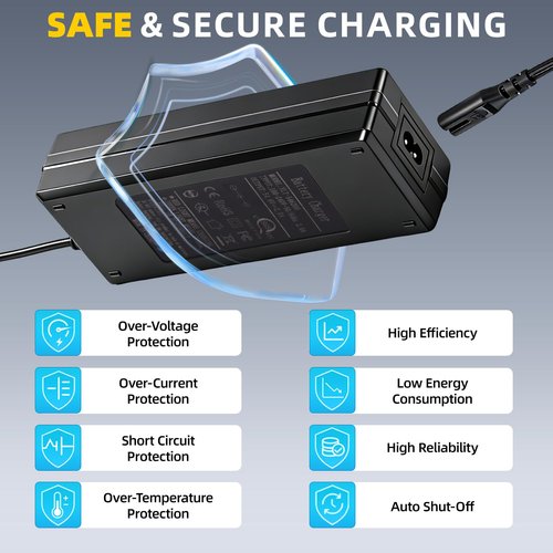 SGS Certified 54.6V 2A Fast Electric Bicycle Charger for 48V Ebike Battery - Fast Charging, Overcharge Protection, Compatible with Ecotric City/Beach, Lectric XP 2.0/3.0, Evercross H5/H7