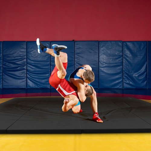 BalanceFrom Folding Gymnastics Mat - 10x4 Feet, 2-Inch Thick Vinyl Pad with Carrying Handles for Home Workouts | Yoga, Pilates, Tumbling, Martial Arts