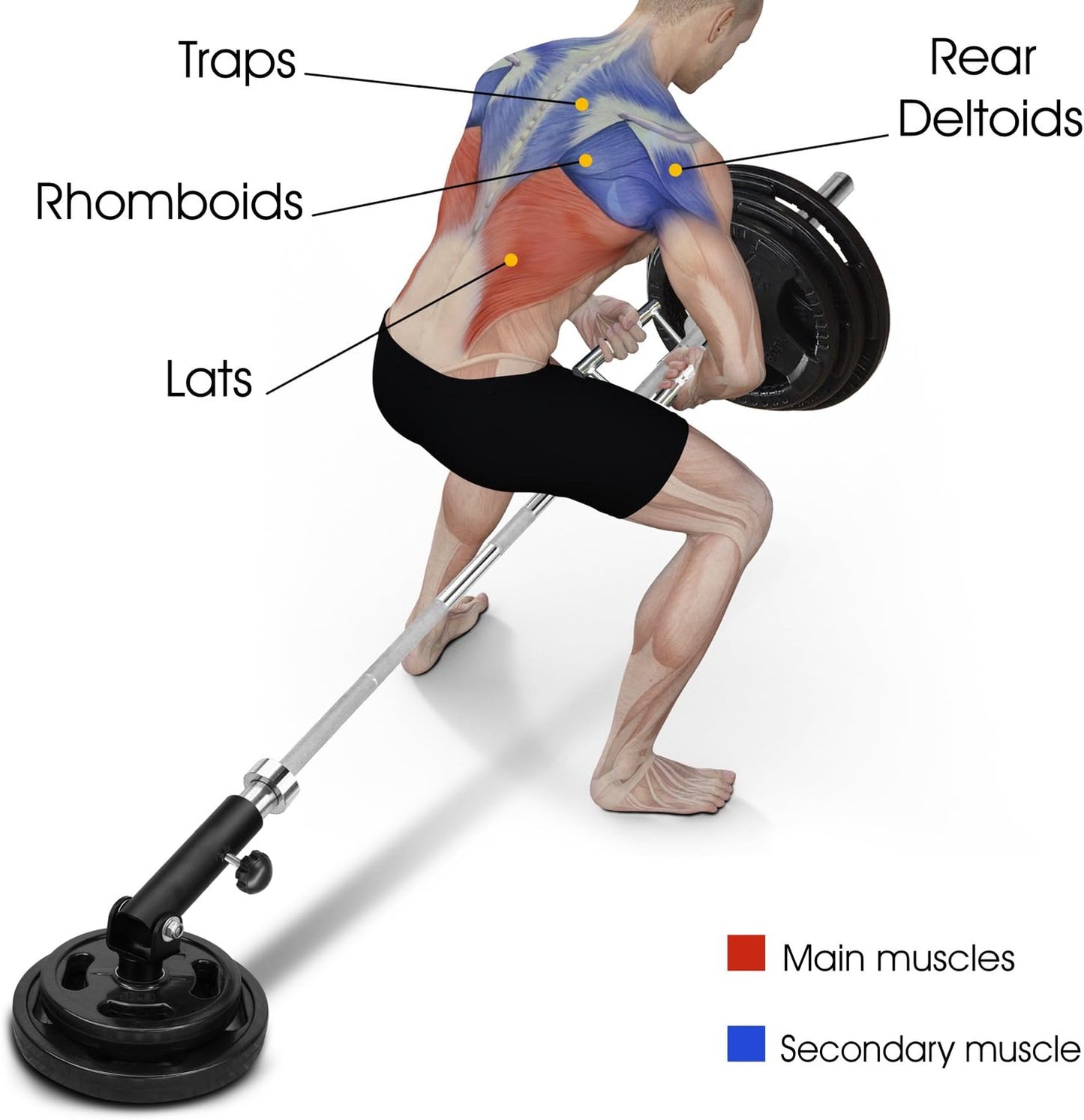 Yes4All T-Bar Row Landmine Attachment - Fits 1" & 2" Olympic Bars - Full 360° Swivel, Easy Installation
