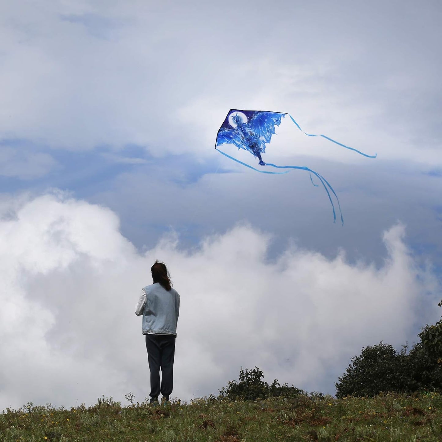 Mint's Colorful Life Dragon Kite - Easy to Fly for Kids & Adults | 300ft String Included