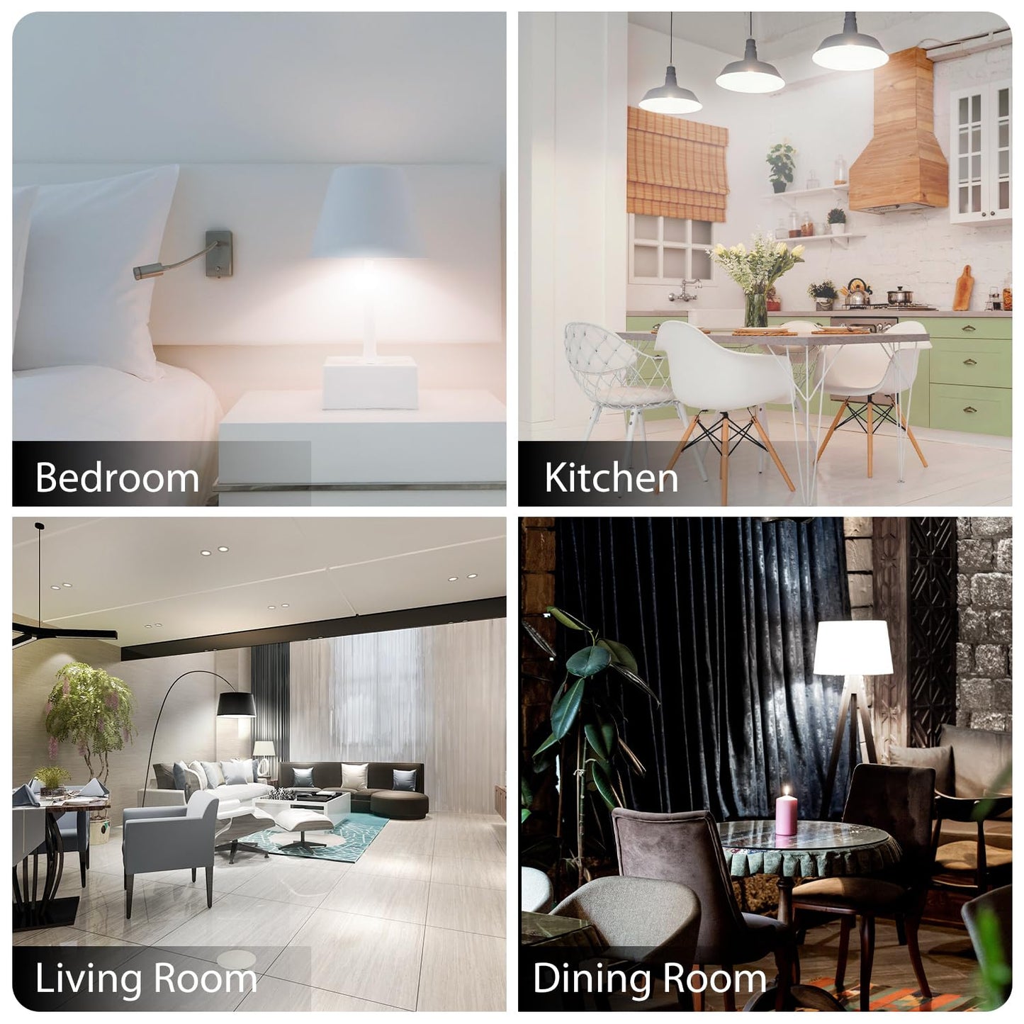 dalattin 12 Pack LED Bulbs Daylight White 5000K, 100 Watt Equivalent A19 Standard Bulbs, E26 Base, 1500 LM, Efficient 15W Energy Saving, Non-Dimmable, 80+ CRI, 120V, UL Listed, for Living Room, Office