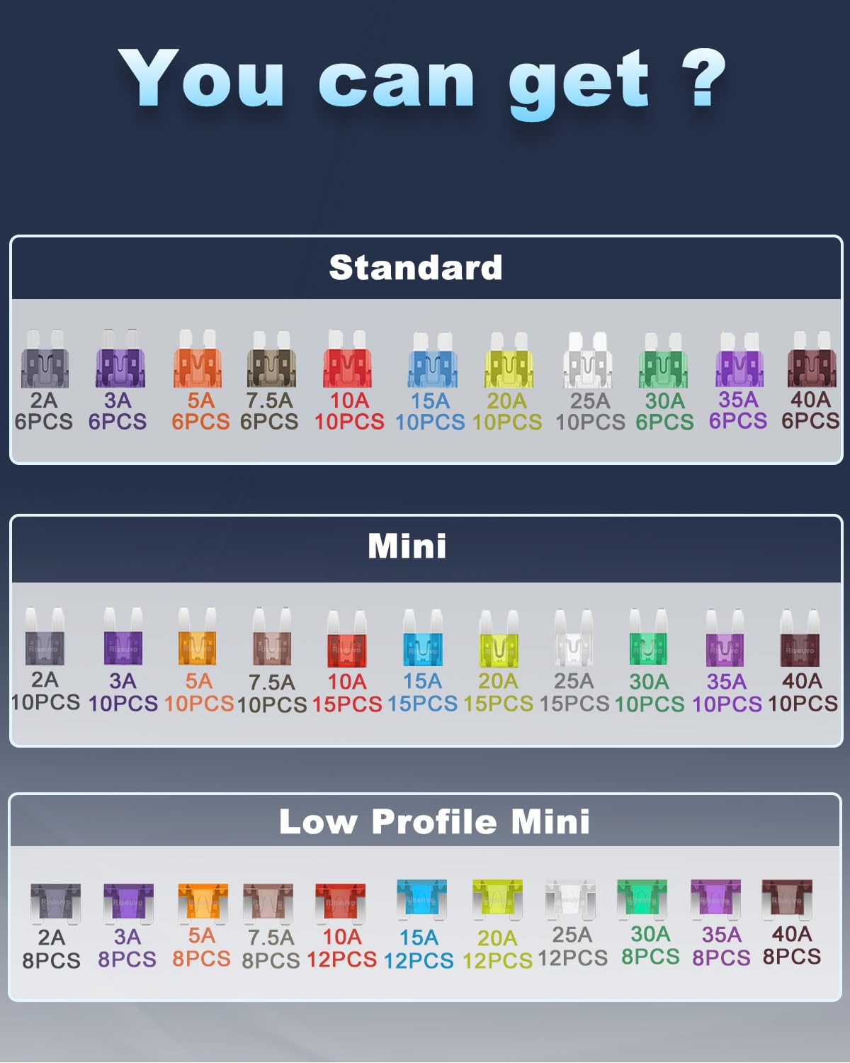 Riseuvo 316 Pcs Car Fuse Assortment Kit - Standard & Mini & Low Profile Mini Blade Automotive Replacement Fuses for RV, Camper, Boat, Truck (2A 3A 5A 7.5A 10A 15A 20A 25A 30A 35A 40A)