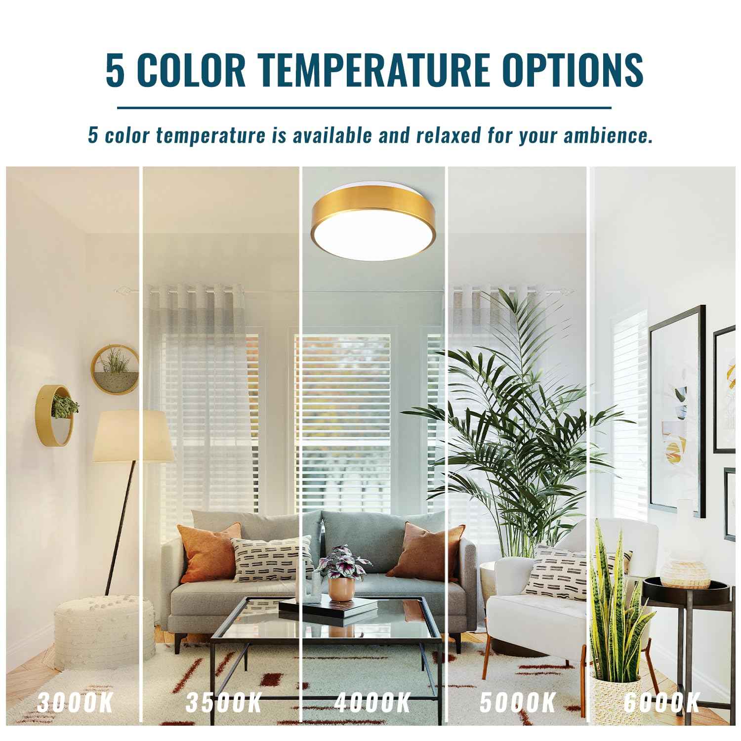 Wheatronic Gold Ceiling Light Flush Mount, LED Light Fixture 24W, Round Dimmable Flush Mount 5CCT for Bathroom, Living Room, Bedroom