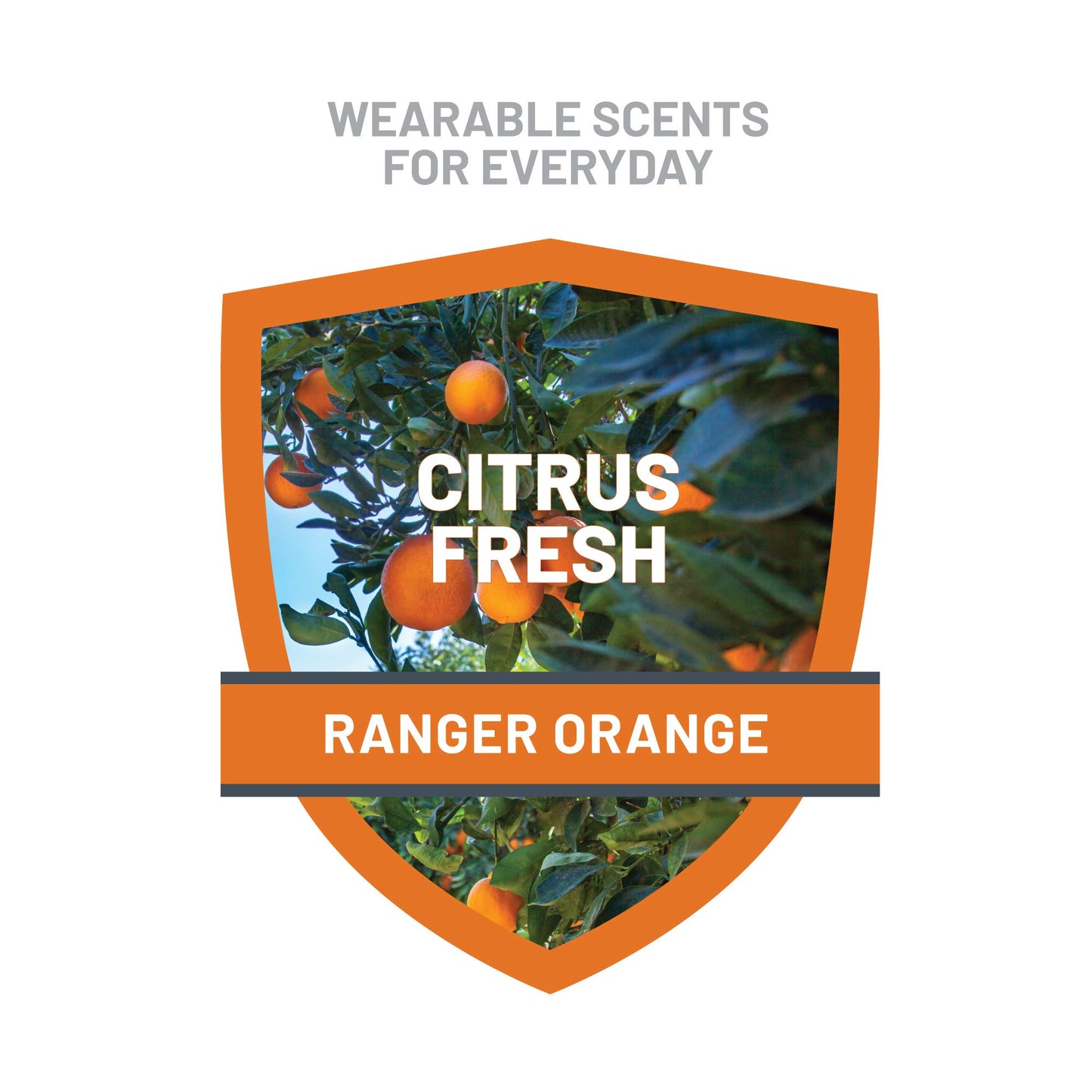 Ranger Ready Repellents Picaridin Insect Repellent in Night Sky Scent - Mosquito Repellent and Tick Spray - DEET Free Bug Spray Travel Size, 3.4 Oz.