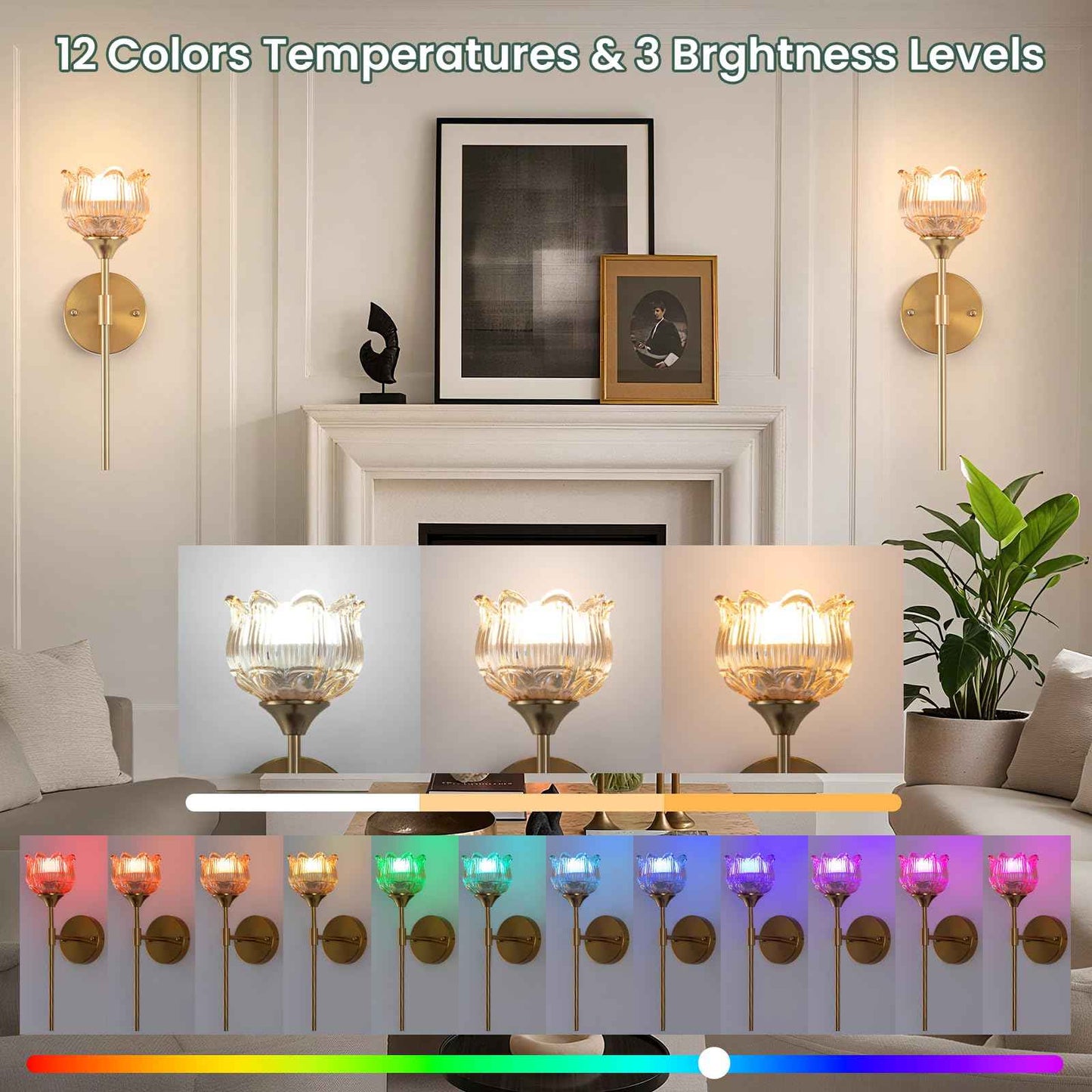 Rnzziw Battery Operated Wall Sconces Set of 2, Wireless Wall Sconce with USB, Rechargeable LED Light Bulbs 12 Colors Industrial Brushed Brass Wall Lamp for Bedroom Living Room, Bulbs Included (Amber)